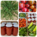...frischem Obst und  Gemüse